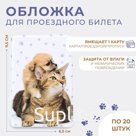 Обложка для проездного, цвет белый