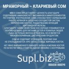 Живая рыба