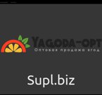 Красная смородина 1 сорт, Китай