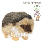 Мягкая игрушка «Ёжик», 20 см