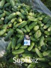 Огурцы свежие фермерские и соленые