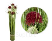 Decorative bouquet of onions with 5 flowers. Size: 30x30x69 cm. Color: burgundy.