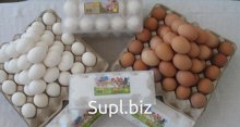 Яйцо куриное ГОСТ С0 С1 С2 (белое и коричневое) от производителя (десяток)