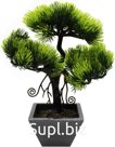 Decorative Bonsai tree in a pot. Size: 235x235x275mm.