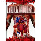 Тело человека