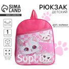 Рюкзак детский для девочки «Аниме котик», 24×28×8.5 см