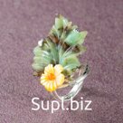 СЕРЕБРЯНОЕ КОЛЬЦО 925 ПРОБЫ 1900062