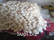 Капуста белокочанная "Агрессор"