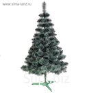 Сосна Крымская Белоснежная 220 см, d нижнего яруса 110 см, 359 веток