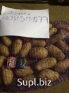 Продам картофель