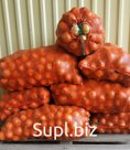 Лук