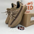 Adidas Yeezy Boost 350 V2 Earth