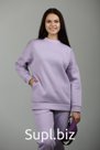 Костюм спортивный без капюшона трехнитка начес WE ARE FAMILY лаванда. Артикул: АРК006-2021-078