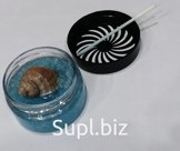 Автомобильный ароматизатор