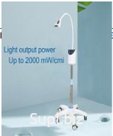WHITENING MACHINE PORTABLE- BM- L013