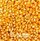 Corn yellow