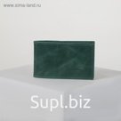 Визитница, цвет зелёный