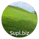 Травосмесь для укрепления откосов и склонов