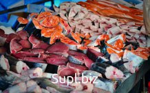 Морепродукты и Рыба оптом. Импорт/Экспорт.
