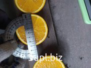Апельсины и цитрусовые оптом Марроко, Египет, Турция, Иран