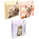 Фотоальбом 500 фото 10*15см, переплет на кольцах, Veld-co "Lovely kittens", ПП карман