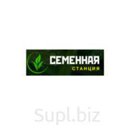 Семена Козлятник Гале
