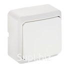 Выключатель Luazon Lighting "СПБ", 10 А, 1 клавиша, накладной, белый