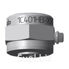 Accelerometer 1C401HB-200