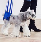 Поддержки ходунки задних лап DogCare №2 М