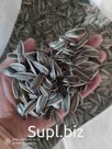 Семечки из Китая, марка 361, размер 180/190 штук в 50 граме, названия компании QALAM-NURI семейная предприятия. Перед продажи можем отправить для примера по вс…