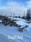 Бревна берёзовые для выработки лущеного шпона