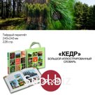 The Large Illustrated Dictionary "CEDAR"