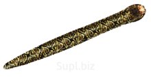 Anti-stress toy Snake brown 90 cm, gabardine Article: MT11068_conclusion