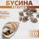 Бусины для творчества «Ракушка», 2×1 см, завиток, набор 10 шт., коричневые
