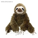 Мягкая игрушка «Ленивец», 20 см