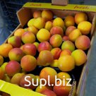 Абрикос Свежий Хаджихалилоглу Каба ашы из Турции