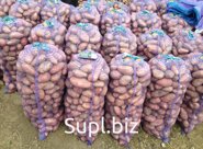 Картофель от производителя