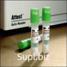 Индикатор биологический Attest Rapid Readout, быстрого чтения, для этиленоксидной стерилизации, 200шт, 1294