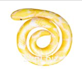 Snake Yellow "Spiral" Article: МТ11027_conclusion