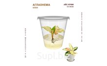 АГЛАОНЕМА АЙС КРИМ (ICE CREAM)