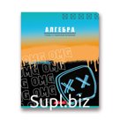 "SVETOCH"   Тетрадь предметная "Разные интересы" (48ТСК5_000147 Алгебра; 48ТСК5_000149 Биология; 48ТСК5_000148 Английский язык; 48ТСК5_000150 География; 48ТСК5_000151 Геометрия)  A5+   48 л.  на скобе  , белизна 100 %  .  клетка