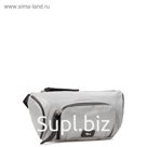 Сумка поясная Labbra LL-CL1903019, серый, 30х9х13