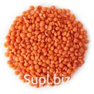 красная чечевица