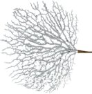 Decorative tree branch. Size: 650x420x10mm.