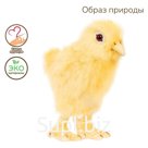 Игрушка мягкая Hansa Creation «Цыплёнок», 12 см