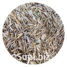 Атлантис продает семена житняка сорт Бродский РСт, ценное кормовое растение, основной компонент в кормовых травосмесях с люцерной и эспарцетом. Урожай зеленой …