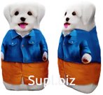 Anti-stress toy Dog in a denim jacket 20cm Article: MT11015_conclusion