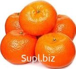 Мандарин без листа/с листом калибр 45+