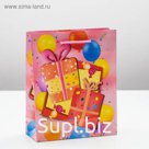 Пакет подарочный "Подарки", 18 х 8,5 х 23 см