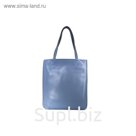 304-09 2002 Женская сумка кожаная Ludor Голубой